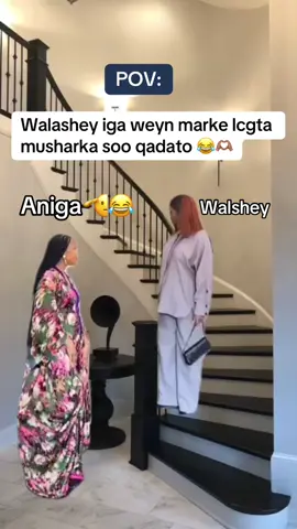 Marka kaliya la heshiyo😂😂🫶🏽#fyppppppppppppppppppppppp #funny #foryou #veiwsproblem💔😶 