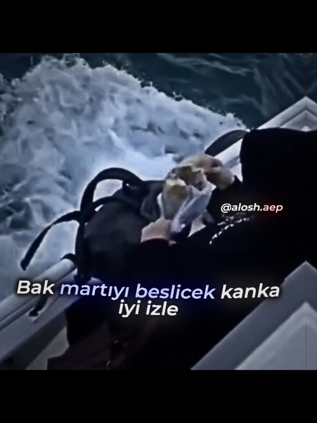 Ne iyi insanlar var 😂 #komik #komedi #mizah #martı #ekmek  #keşfet #fyp