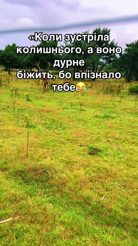 #прикол#зустріч_після_довгої_розлуки😂#рекомендации#rek 