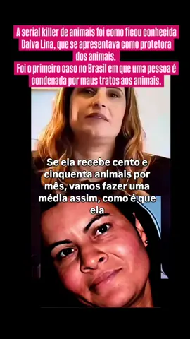 A serial killer de animais foi como ficou conhecida Dalva Lina da Silva, que se apresentava como protetora dos animais. Foi o primeiro caso no Brasil em que uma pessoa é condenada por maus tratos aos animais. #fofocadainternet #polemica #babados #crimestories #crimetiktok #sabias #foryoupage #notícias #noticiastiktok #NEWS #cidadealerta #balancogeral #vaiprofy 