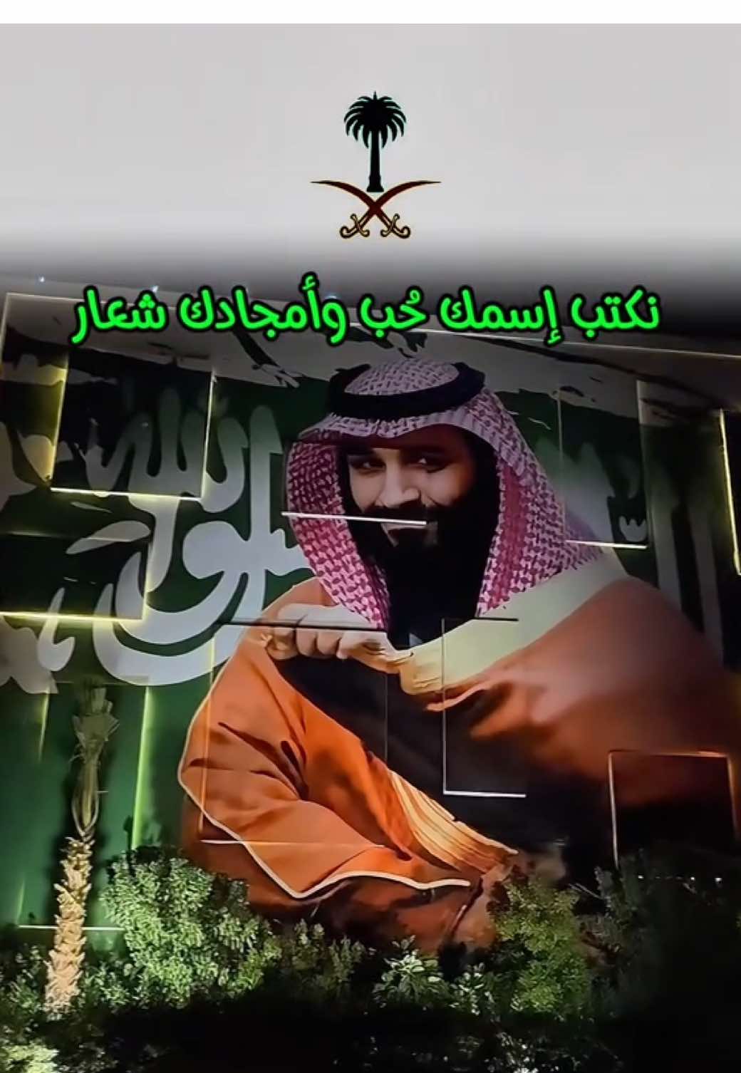 حفظك الله  #محمد_بن_سلمان 💚🇸🇦