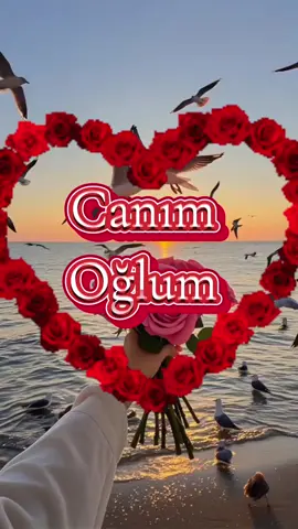 #😭😭😭😭😭🥹😭😭😭😭😭😭 #kesvet❤️❤️☺️☺️ #kesvet❤️❤️☺️☺️ #kesvet❤️❤️☺️☺️ #kesvet❤️❤️☺️☺️ #kesvet❤️❤️☺️☺️ 