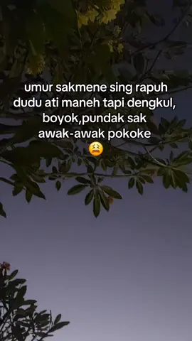 😓😓 #mbakjawa #jowostory #foryou #surabaya 