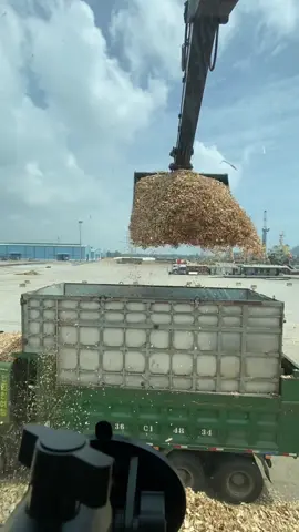 Tân thủ giao lưu cùng các tay to chân to #TrườngMúc🇻🇳 