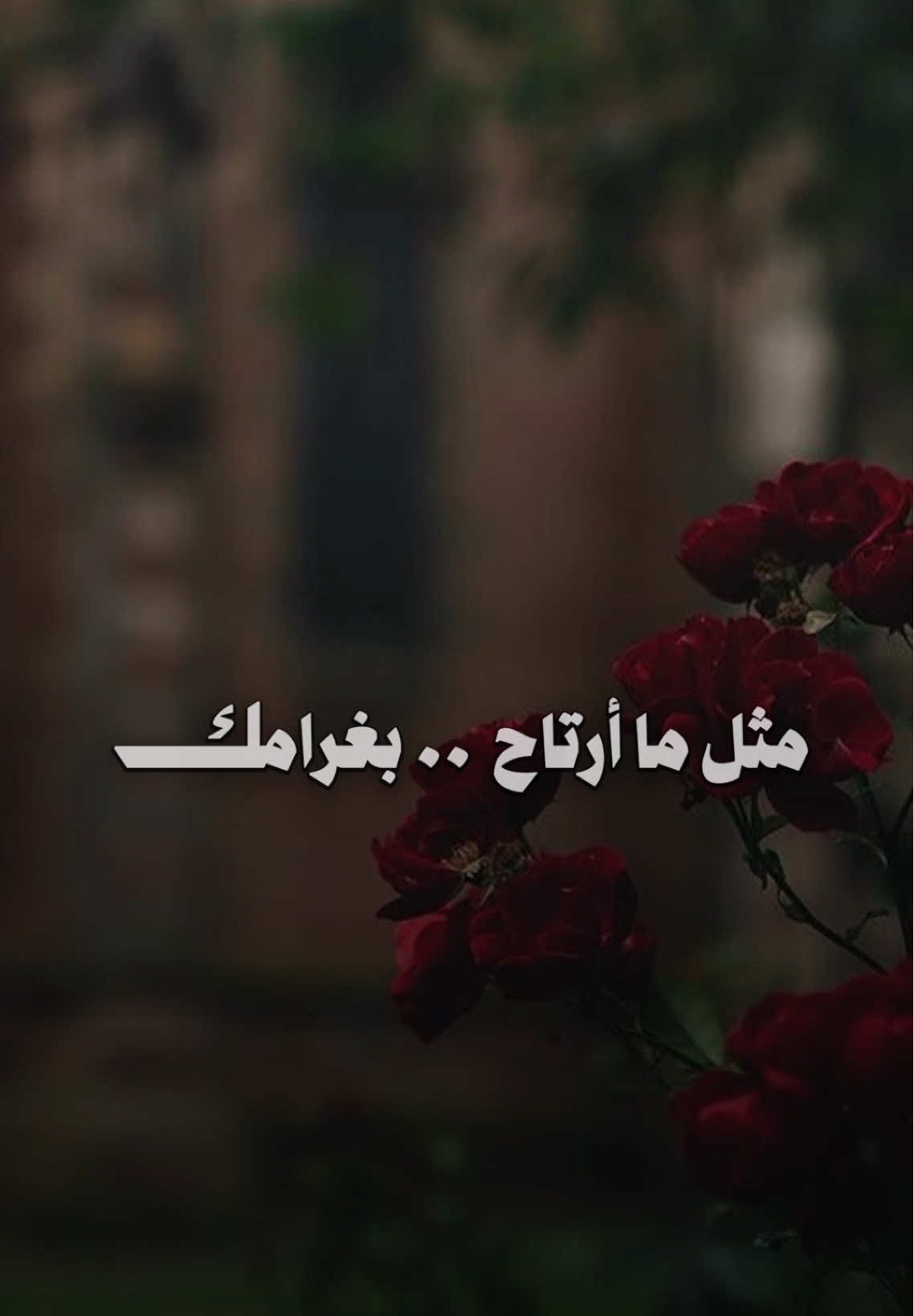 عمر قلبي ما استراح❤️مثل ما ارتاح بغرامك❤️عمر قلبي لا ما باح❤️وباح بأسراره أمامك #تصميم_فيديوهات🎶🎤🎬 #راشديات💙 #راشدالماجد #ليتني_طير #راشد_الماجد 