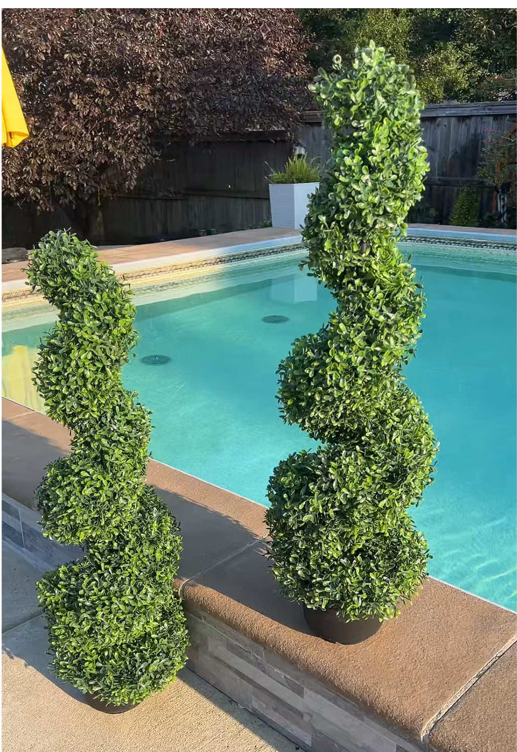 Spiral topiaries! Boxwood trees set of 2 artificial plants!  #boxwoods #vevor #artificialtrees #topiary #cypress #fauxplants #toktokmademebuyit 