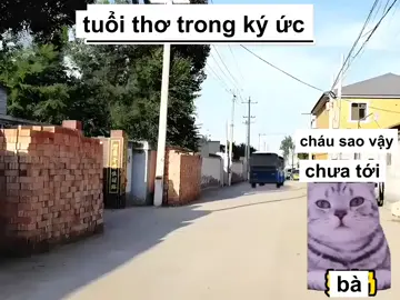 #beosud #vietnambeosud #xhbeosud 