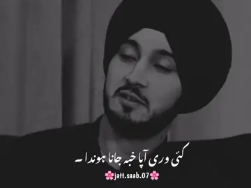 آپا #foryou #foryoupage #panjabipoetry #aqib #jattsab 