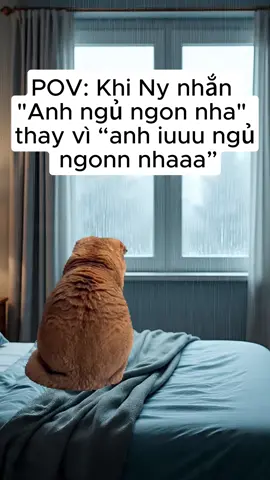 1001 moment khi yêu nhau (Part 4) #POV #1001momentkhiyeunhau #foryou#capdoi #xuhuong #mememeo #tiktokvn