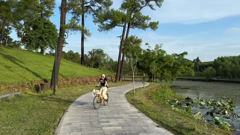 Khép lại, mở ra. Cuộc đời cũng thế thôi.#langgialong #hue #tiktok #asari 