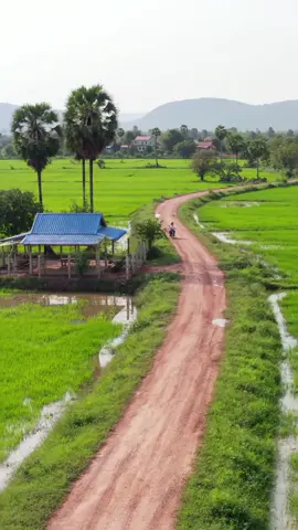#ទេសភាពជនបទ🌾🌻🌿🏡🪷#ទេសភាពស្រុកស្រែ🌄🏜️🌱🌼🌾🐟 #កំពង់ឆ្នាំងភូមិឋានខ្ញុំ🌾🌿😘 #ស្រស់ស្រាយនិងធម្មជាតិ🌿🍀🌿 #មើលឃើញដីស្រែនឹកគ្រាអតីត😞🎵🏡🌾 