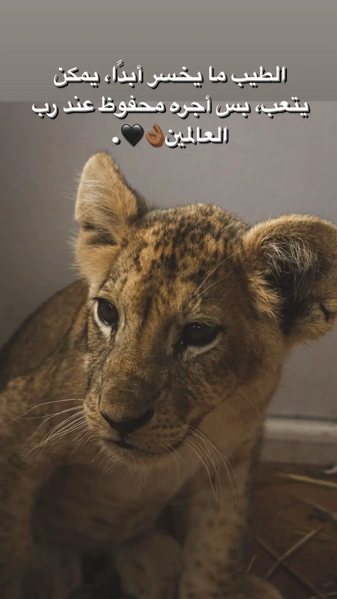 #fupシ゚viral #🖤tiktok #عبارات #viralvideo #الناصره_الشامخه👑🦅 #シ゚viral #fypage #عباراتكم_الفخمه📿📌 #اقتباسات #foryou #viral 