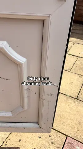 Say goodbye to stubborn stains on your doors with the eco-friendly magic of steam cleaning. 💨✨  #dupray #steamclean #steamcleaner #patiocleaning #steamcleaning #steamcleaning🔥 #CleanTok #cleaningtok #deepclean #deepcleaning #deepcleantok 