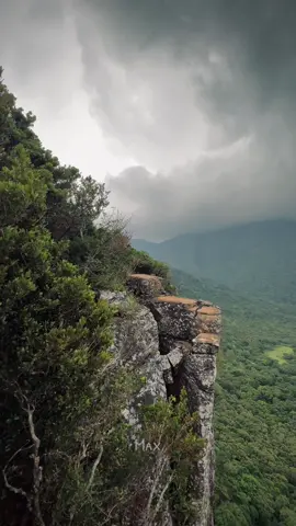 ප්‍රශ්න අහපු නැති එකම තැන සොබාදහම… 🍃🏔️ #pitawalapathana🍃🥰 #mistymountains #naturallovers #srilanka #travalsrilanka🇱🇰 #expolernature #greenvibes 