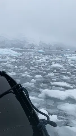 Throwback when we went boating through the ice in Antarctica. 🇦🇶  Antarctica is Earth’s southernmost continent, centered around the South Pole. It’s the coldest, driest, and windiest place on Earth, covered by a massive ice sheet that holds about 70% of the planet’s freshwater. It has no permanent population—only scientists and researchers live there temporarily. #explore #explorepage #fyp #fypシ #fypシ゚viral #viraltiktok #travel #photography 