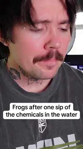 THEY’RE TURNIN THE FRIGGIN FROGS  #funny #relatable #satire #audios #trend 
