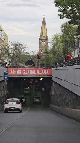 #Guadalajara #jalisco #Mexico #mexico🇲🇽 #centrodeguadalajara #fyp #trend 