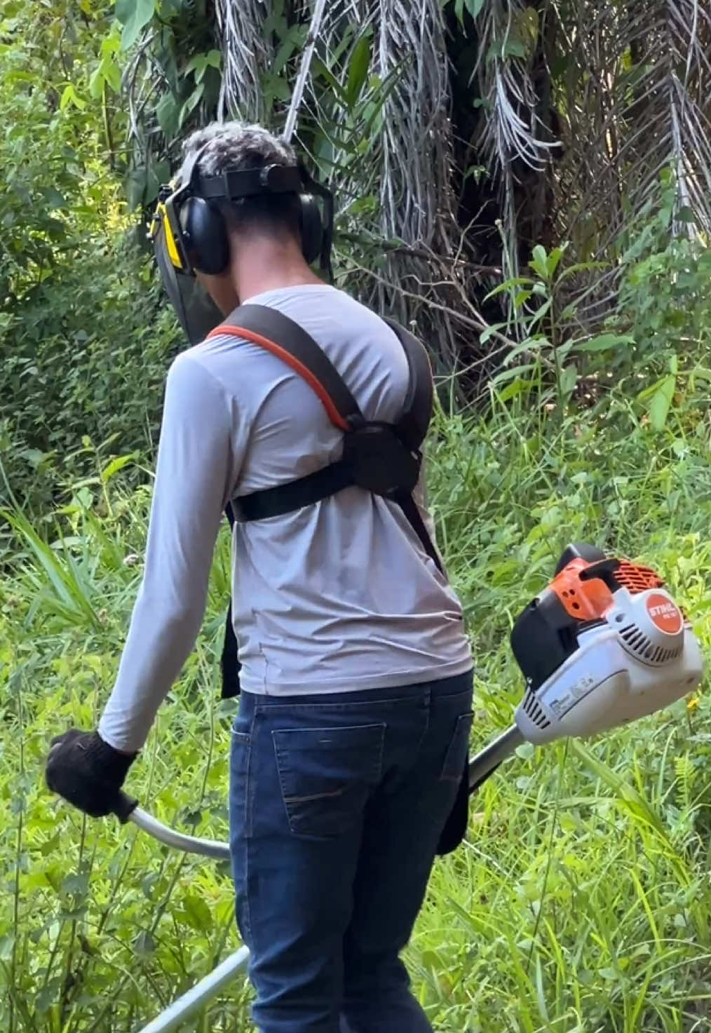 #roçadeira fs 161 #stihl #viral #satisfying @STIHL Brasil 