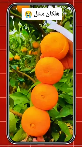 ھلکان ستل 😭 don't under review my video dear tiktok team 🥲🙏🙏  #pashto_islamic_video_bayan #islamic_sound_viral_video☺🌸 #foryou #foryoufage #growaccount💯✨ #100kviews #plzzz_saport_me #nufreezemyaccaunt🥺😭plz 