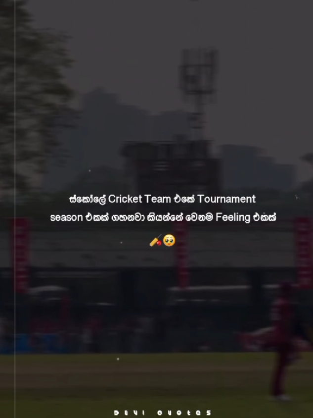 Cricekt වෙනම Feeling එකක්🥹🏏 #duviyaquotes #sinhalaquotes #sinhalawadan #trending #viral #goviral #foryou #1millionaudition #fyp #creatorsearchinsights 