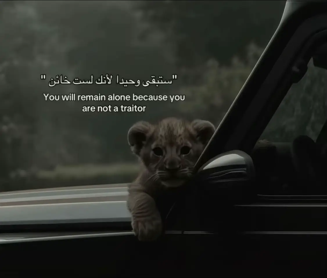 . . . . . . . . #عشواتيات❤️ #مالي_خلق_احط_هاشتاقات🧢 #الشعب_الصيني_ماله_حل😂😂 #تايم_سكوير #بطلع_اكسبلورexplore❥🕊 #نفط_البصرة #CapCut 