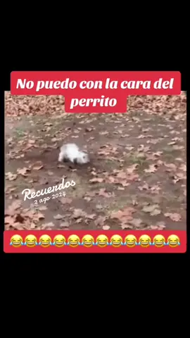 #Recuerdos 