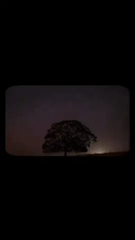 سوره الكهف 🤍✨ @Saleh Aljafarawi 