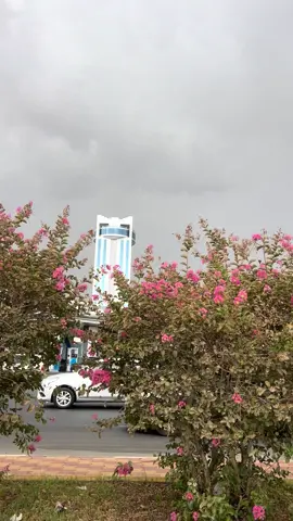 #الطائف 