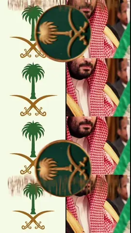 #سيفين_ونخلة #المملكة_العربية_السعودية #السعودية #لايك__explore___ #trending #اكسبلورexplore #محمد_بن_سلمان_فخرنا_وعزنا💚👑🇸🇦 