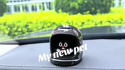 I love my new pet so much#fyp #viral #cargadgets #cargoodthing #caraccessories #auto #automotive #carlover #pet #robot #cute #funny #emo #mochi 