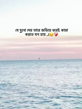 - যে দুঃখ দেয় তারে জড়িয়ে ধরেই, কান্না করতে মন চায় ...!😌❤️‍🩹#_humaira_567 #foryou #foryoupage #unfrezzmyaccount 