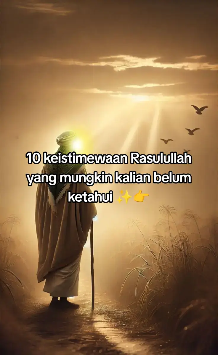 #nabimuhammad #allahummashollialasayyidinamuhammad #yarasullullah #KisahNabi 