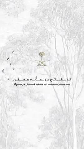 الأكــثــر طـلـبــاً #بيبي_سعود #دعوات_الكترونيه #اكسبلورexplore #fyp 