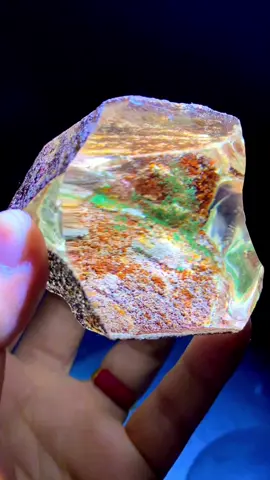 ✨Rare Congo Phantom Kaleidoscope Crystal✨ This one-of-a-kind natural piece features stunning inclusions — violet mist, blue rutile, and moss — like a miniature galaxy sealed inside 🌌 In the light, it reveals incredible depth and dimension. Truly a collectible-grade beauty. 📩 DM for more details or crystal inquiries — worldwide shipping available. #PhantomCrystal #CongoCrystal #KaleidoscopeCrystal #NaturalCrystal #CrystalCollectors #HealingCrystals #GemstoneArt   