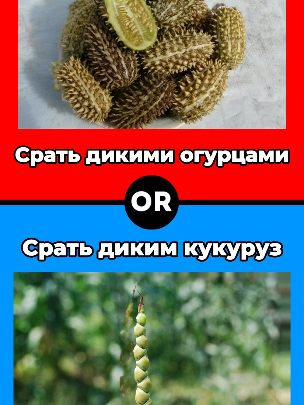 Что ты выберешь? 🔴🔵 #квиз #вопросы #викторина #тест #выбирашки #чтотывыберешь #выбор #тренд 