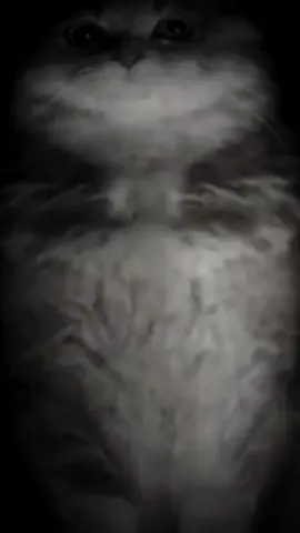 #сука нахуй блять в рот ебал