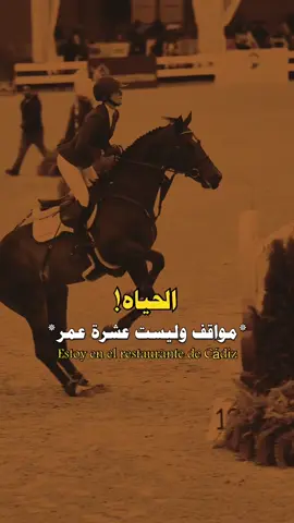 #اكسبلورexplore 