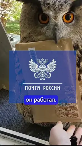 AnyDesk то за что?! #clearain #anydesk#IT