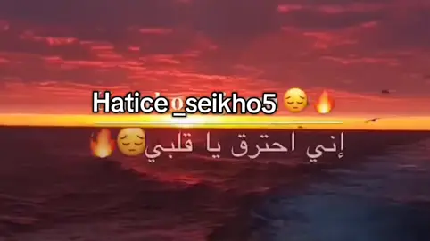 #hatice_seikho #اجمل_حالات_واتس_hatic #كردي #متابع #fyp 