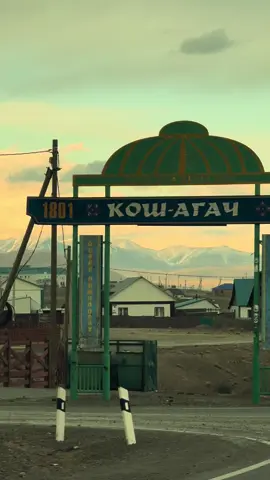 #кошагач 