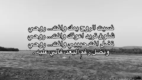 وتضل رغم البعد غالي عليه💔..    #عباراتكم💔💔؟ #عزام_الشمري #شعراء_وذواقين_الشعر_الشعبي #النورات_ناحيه_القياره_جنوب_الموصل #امير_گيارة #امير_گياره🖤✨ #موصل_حي_الفلاح2 