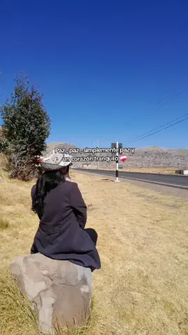 En tierras puneñas 😊🥰#arequipa_peru🇵🇪 #cañondelcolca #puno 