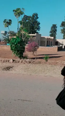 #fypviralシ #limpopotiktoker #creatorsearchinsights #SAMA28 #barcadi @Mphompho22 @Khomotso 