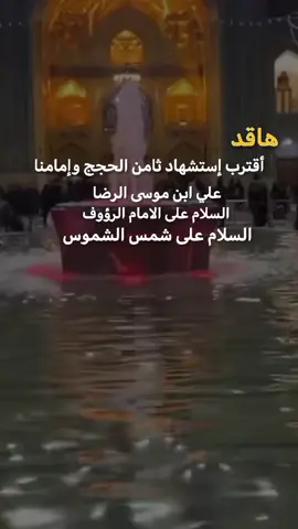 #أقترب إستشهاد ثامن الحجج وإمامنا ) علي ابن موسى الرضا#اكسبلورexplore #اكسبلورexplore❥🕊🦋💚❤ #تصميم_فيديوهات🎶🎤🎬 #اكسبلورexplore❥🕊 #عاشوراء_الحسين_1447 #fypviraleenscreen #foryoupage 