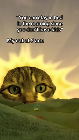 I’m a mommy .  #catsoftiktok #catmom #PetsOfTikTok 