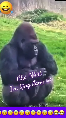 ##cuốituần #nhậu #chủnhật 