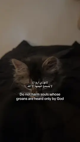 انتبهوا ❣️ #foryou #4u #رساله #قران #دين 