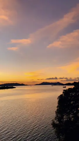 Pernah ada masa dimana air mata jadi teman tidur, dan sunyi jadi satu-satunya pelukan yang tak pergi.#pyfツ #indiasong #storyindiasong #songsvibes #indiasad #indiaquetes 