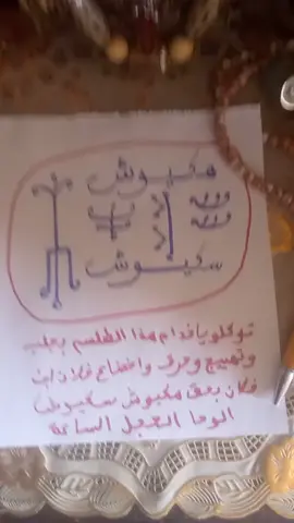جاب والطاعة والخضوع والمحبة  #ميشغان_اوهايو_تنسي_فلوريدا #بلجيكا🇧🇪_بروكسيل_المانيا_فرنسا_هولندا #لوكسمبورغ🇱🇺 