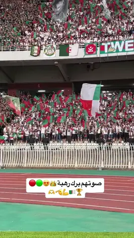 Virage sud mouloudeen💪🏻👊🏻#حبوعقلية🌹 #mca #مولودية🇧🇬🇧🇬_نعشق_فيهااا💚 #viraltiktok #mouloudia_virage_sud🇮🇹🙏 #فيراج_سود_مولوديان🇮🇹📸 #virage_sud_mouloudeen #ultras 